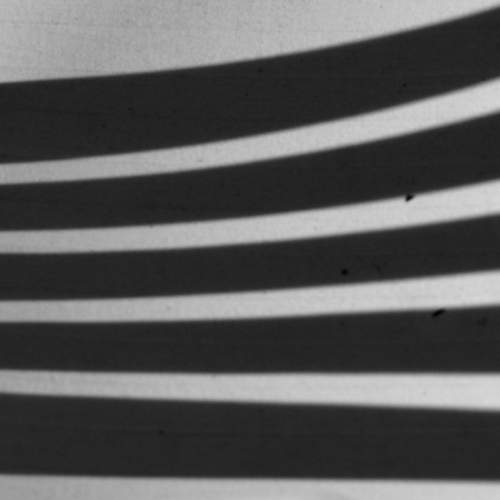 Photo #5611100