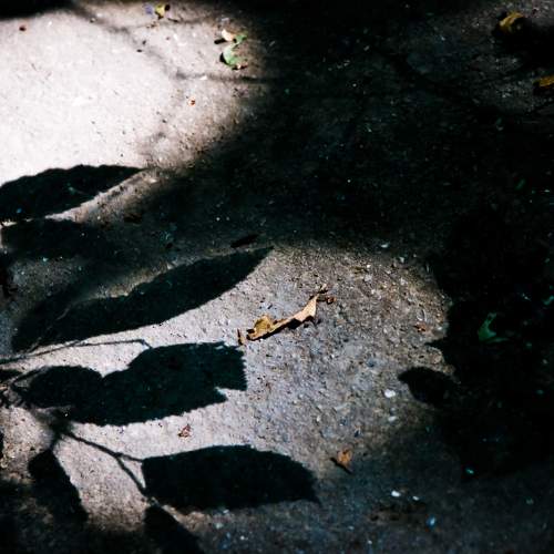 Photo #5611102