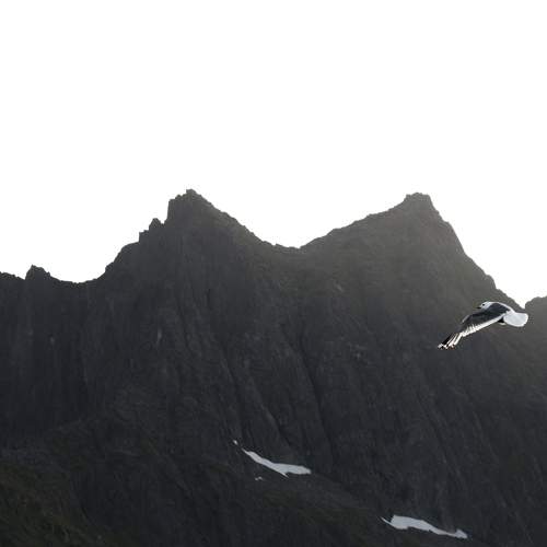 Photo #5611541