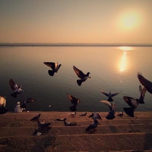 Photo #5611564
