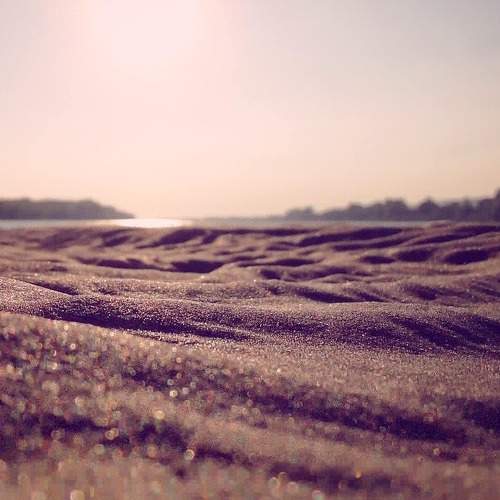 Photo #5611897