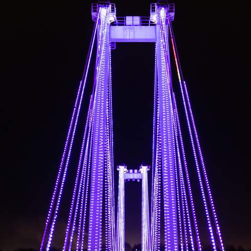 Photo #5612131