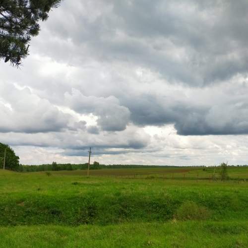 Photo #5612217
