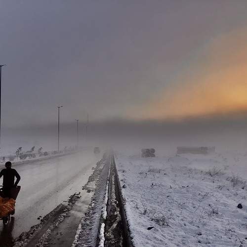 Photo #5612260