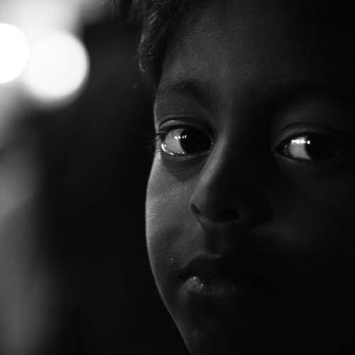 Photo #5612745
