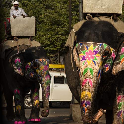 Photo #5613076