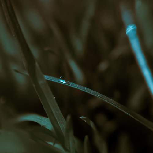 Photo #5613804