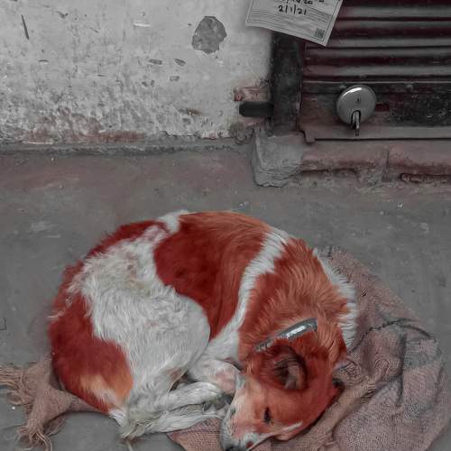Photo #5613971