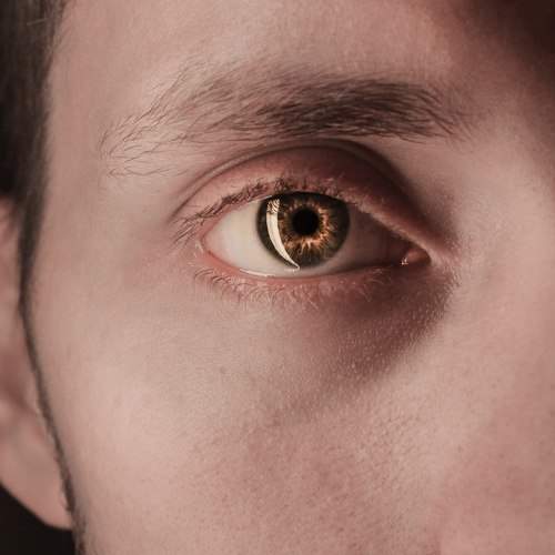 Photo #5614527