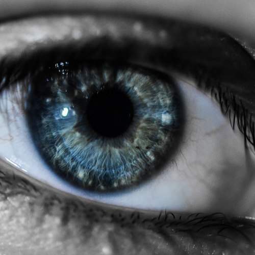 Photo #5614530