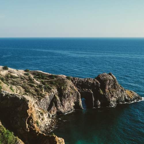 Photo #5614586