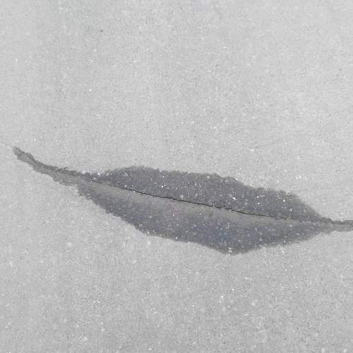 Photo #5614587