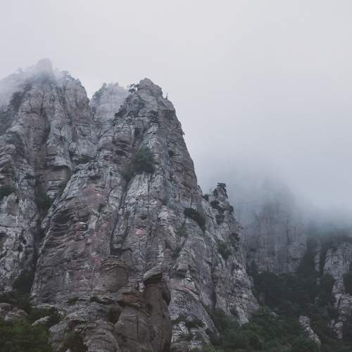 Photo #5614589