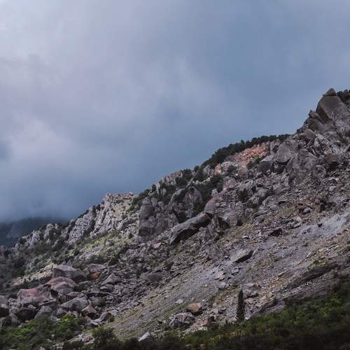 Photo #5614591