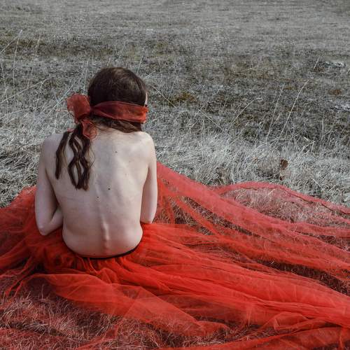 Photo #5614748
