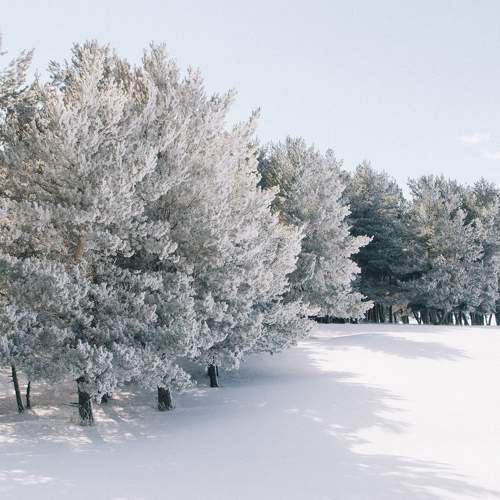 Photo #5614807