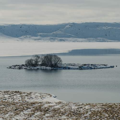 Photo #5614808