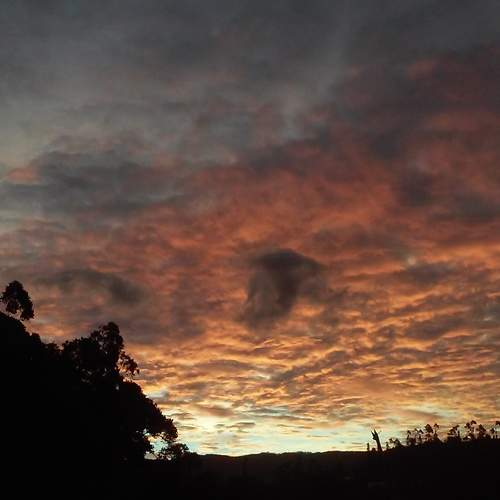 Photo #5615088