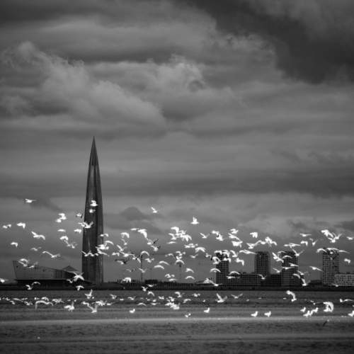Photo #5615619