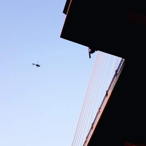 Photo #5615727