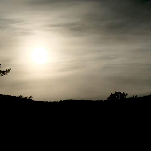Photo #5616359