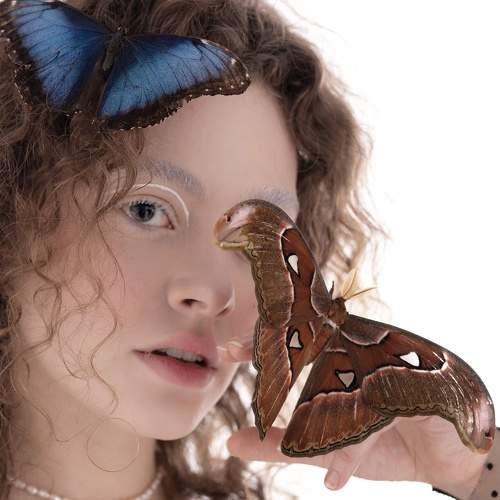 Photo #5616554