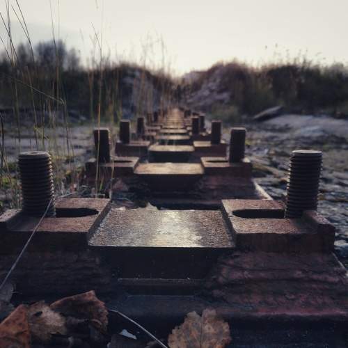 Photo #5616655