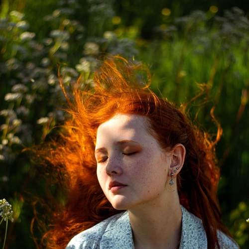 Photo #5616940