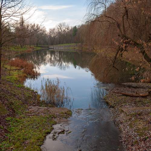 Photo #5617191