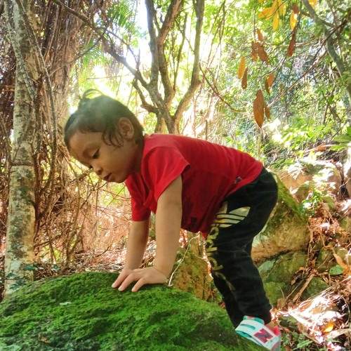 Photo #5617304