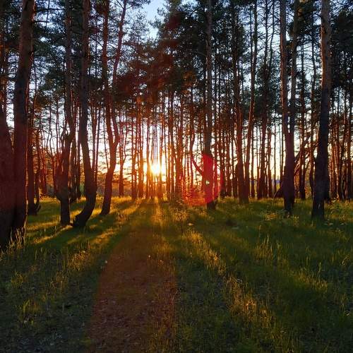 Photo #5617958