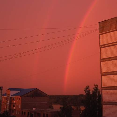 Photo #5617976