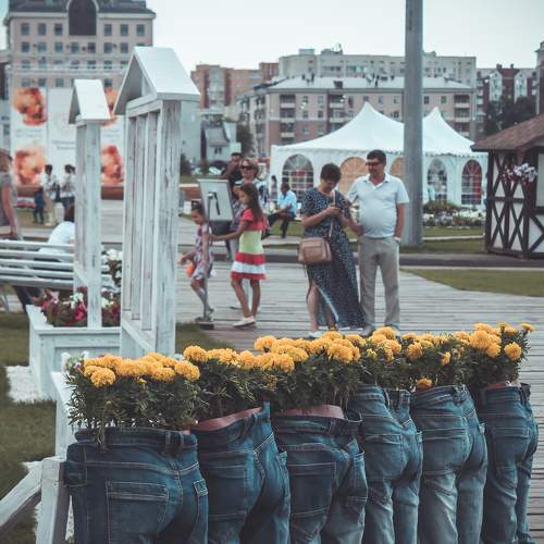 Photo #5617990