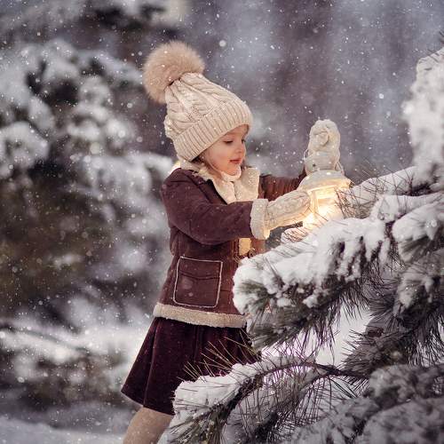 Photo #5618726