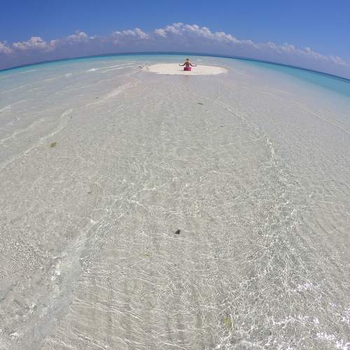 Photo #5618735