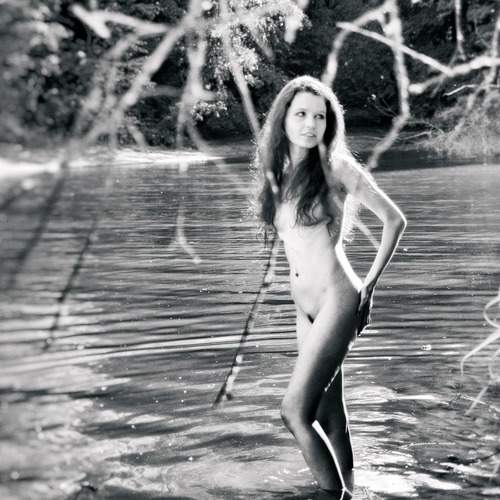 Photo #5620391
