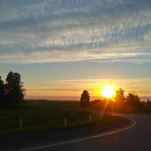 Photo #5620392
