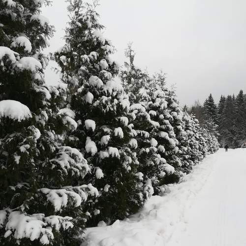 Photo #5620470