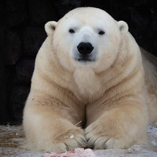 Photo #5620781