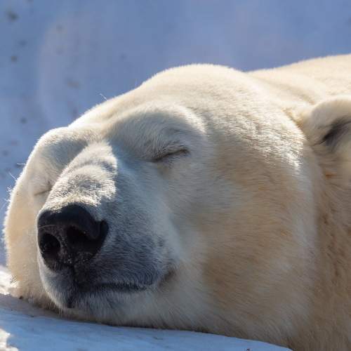 Photo #5620783
