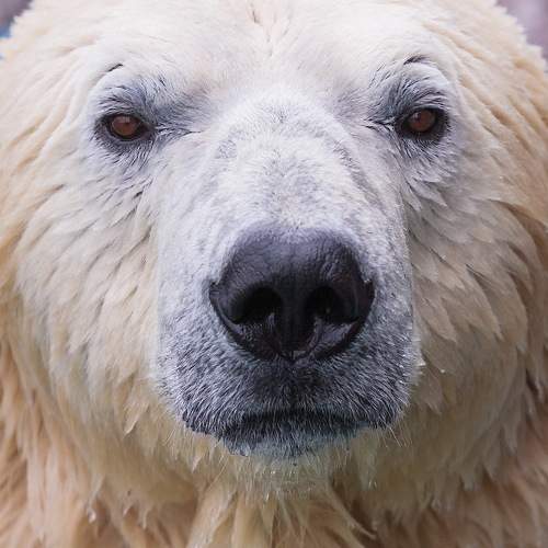 Photo #5620784
