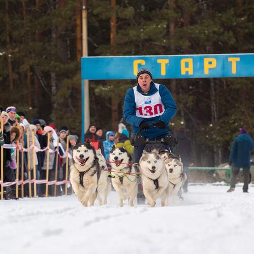 Ездовой спорт