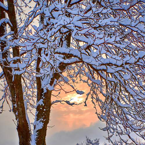 Photo #5621022