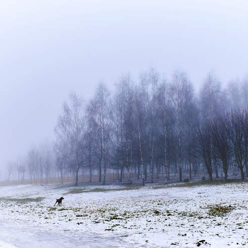 Photo #5621035