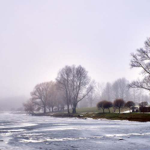 Photo #5621043