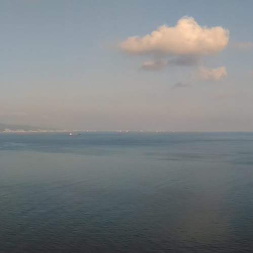 Photo #5621088