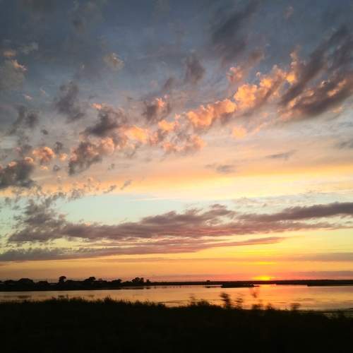 Photo #5621345