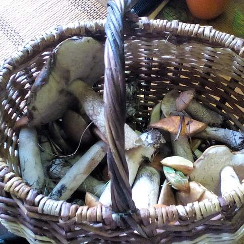 Photo #5621536