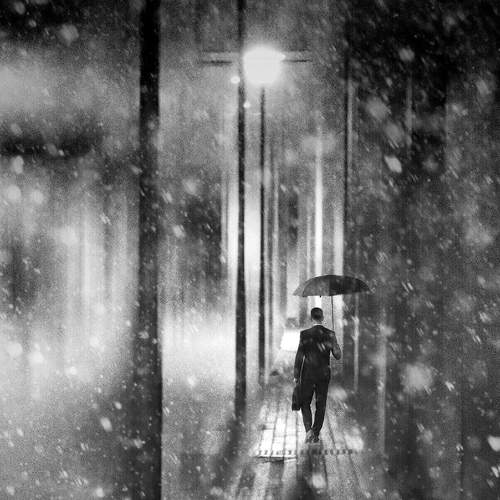 Rainy night street