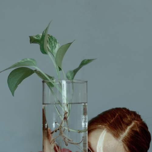 Photo #5621590
